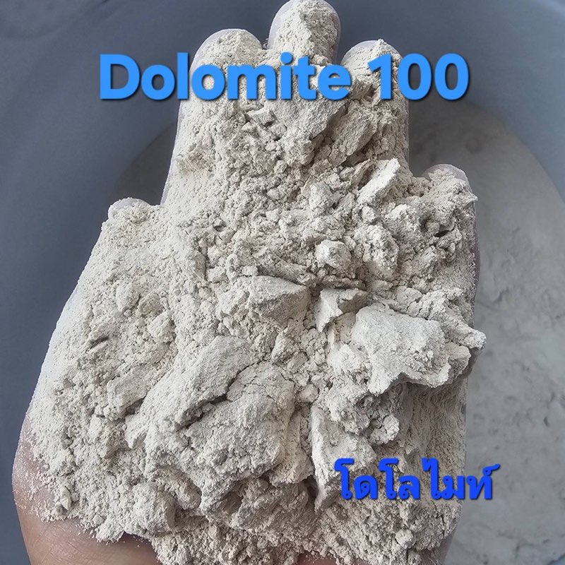 Dolomite 100