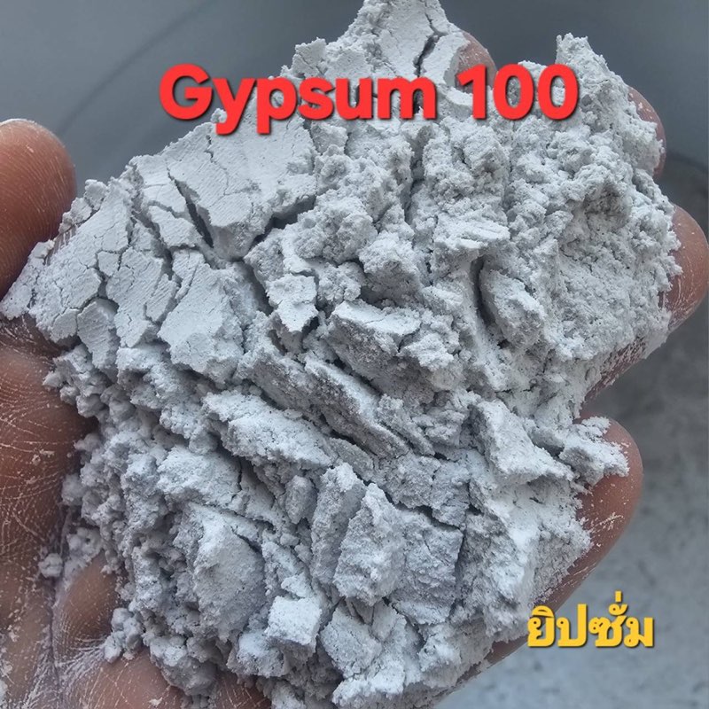 Gypsum 100
